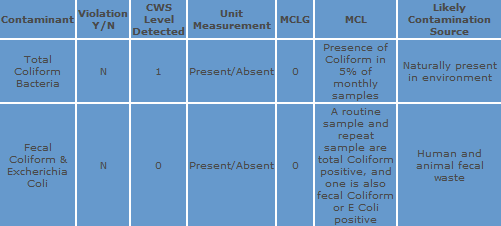 Water Monitoring Chart