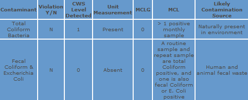 Water Monitoring Chart